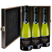 Buy & Send Castell Llord Brut Cava 75cl Three Bottle Luxury Elm Wood Gift Box