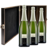 Buy & Send Castillo de Mont-Blanc Cava 75cl Three Bottle Luxury Elm Wood Gift Box